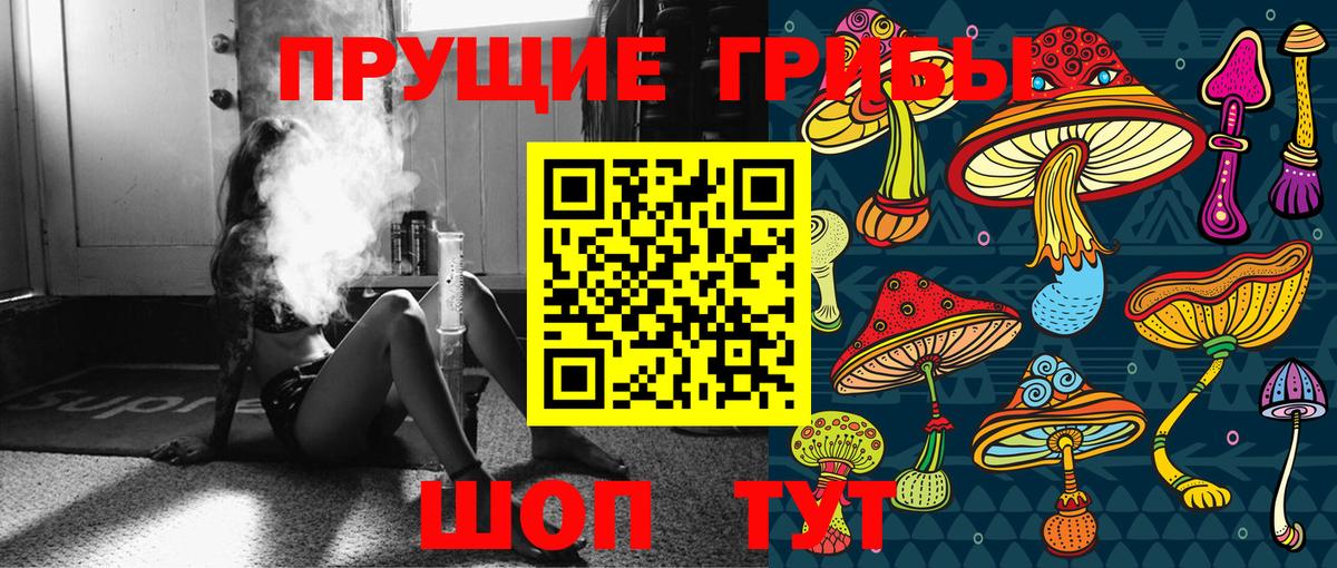Рязань  Галлюциногенные грибы Psilocybe  Вход с VPN 