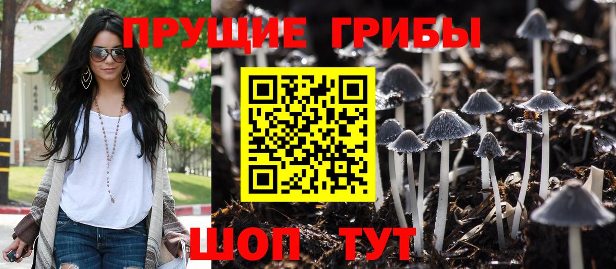 Псилоцибиновые грибы MAGIC MUSHROOMS Рязань